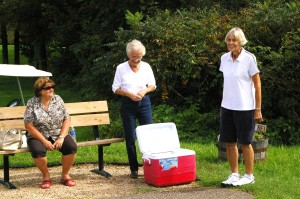 14 - Lake Lucerne Advancement Association