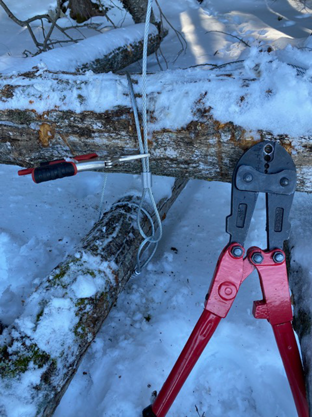 Picture10 - Lake Lucerne Advancement Association